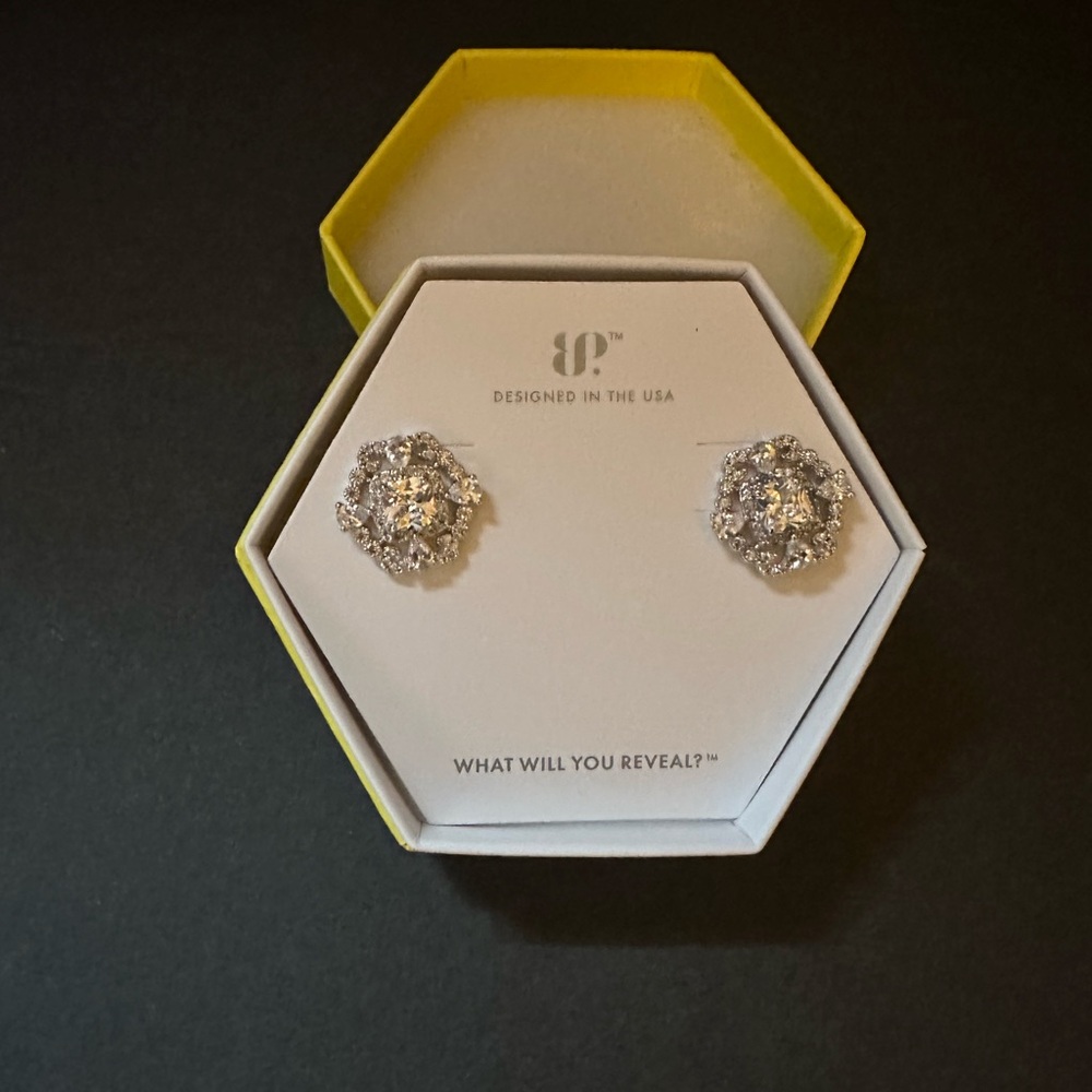 Stunning Silver Crystal Earrings